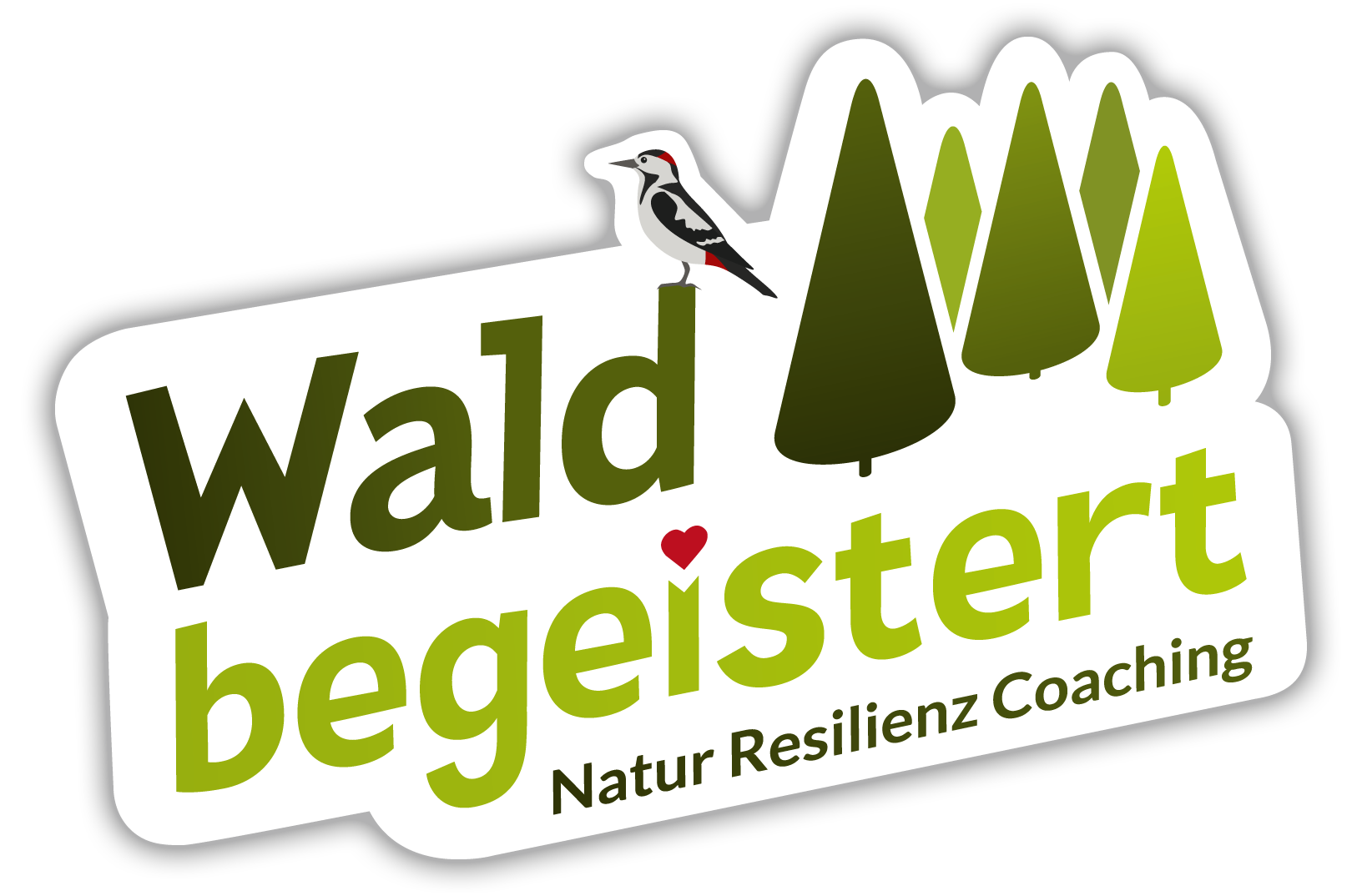 Silvia Schramm - Waldbegeistert