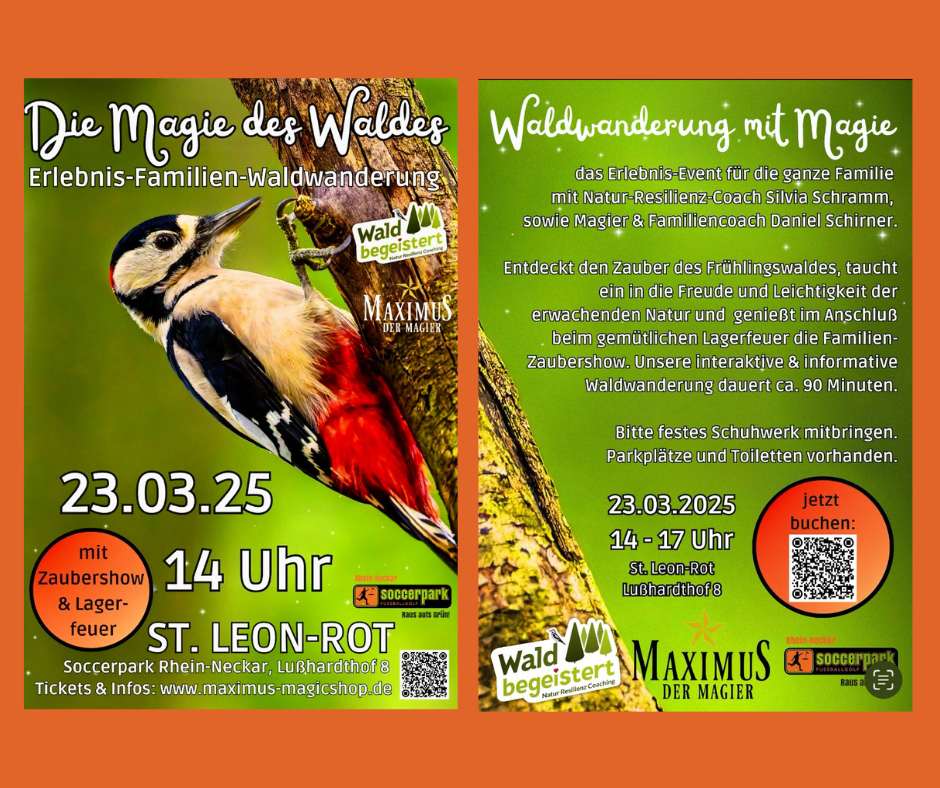magie des waldes webseite